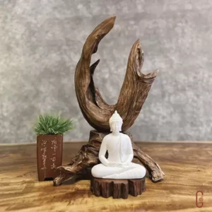 THIỀN LŨA TÂM AN – Tượng Bổn Sư, Lũa Ngọc Am