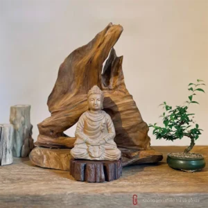 THIỀN LŨA TÂM AN – Tượng Bổn Sư, Lũa Ngọc Am